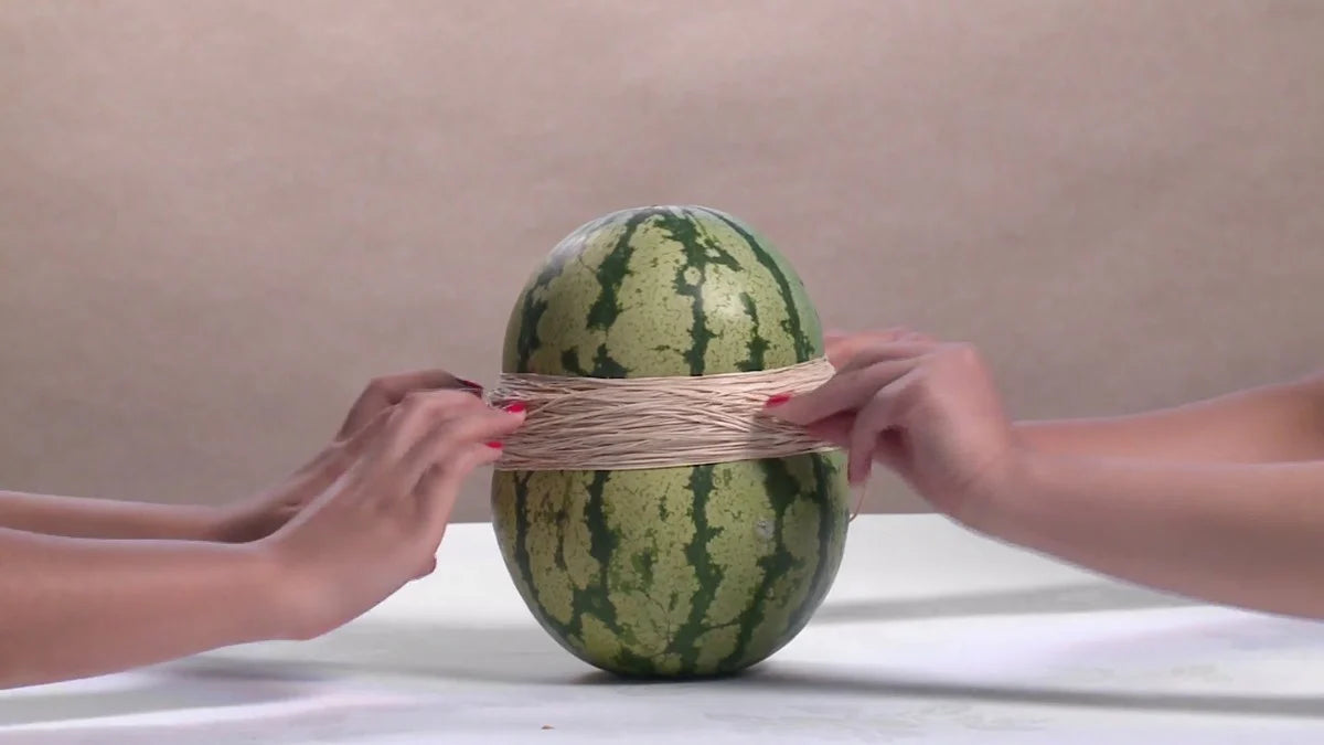 Steve Carr: Watermelon